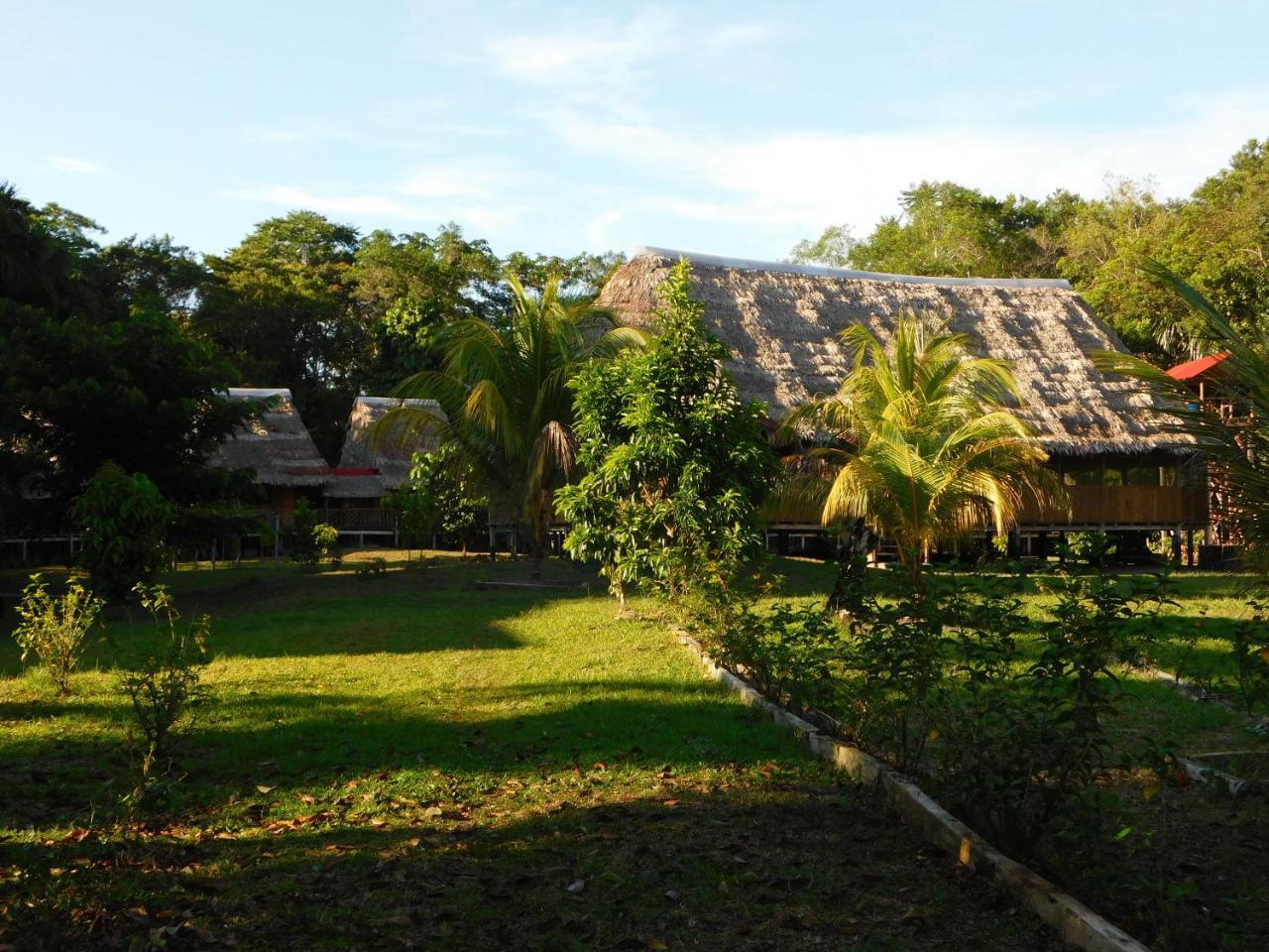 Intillama Jungle Lodge Eirl Paucarpata  Dış mekan fotoğraf