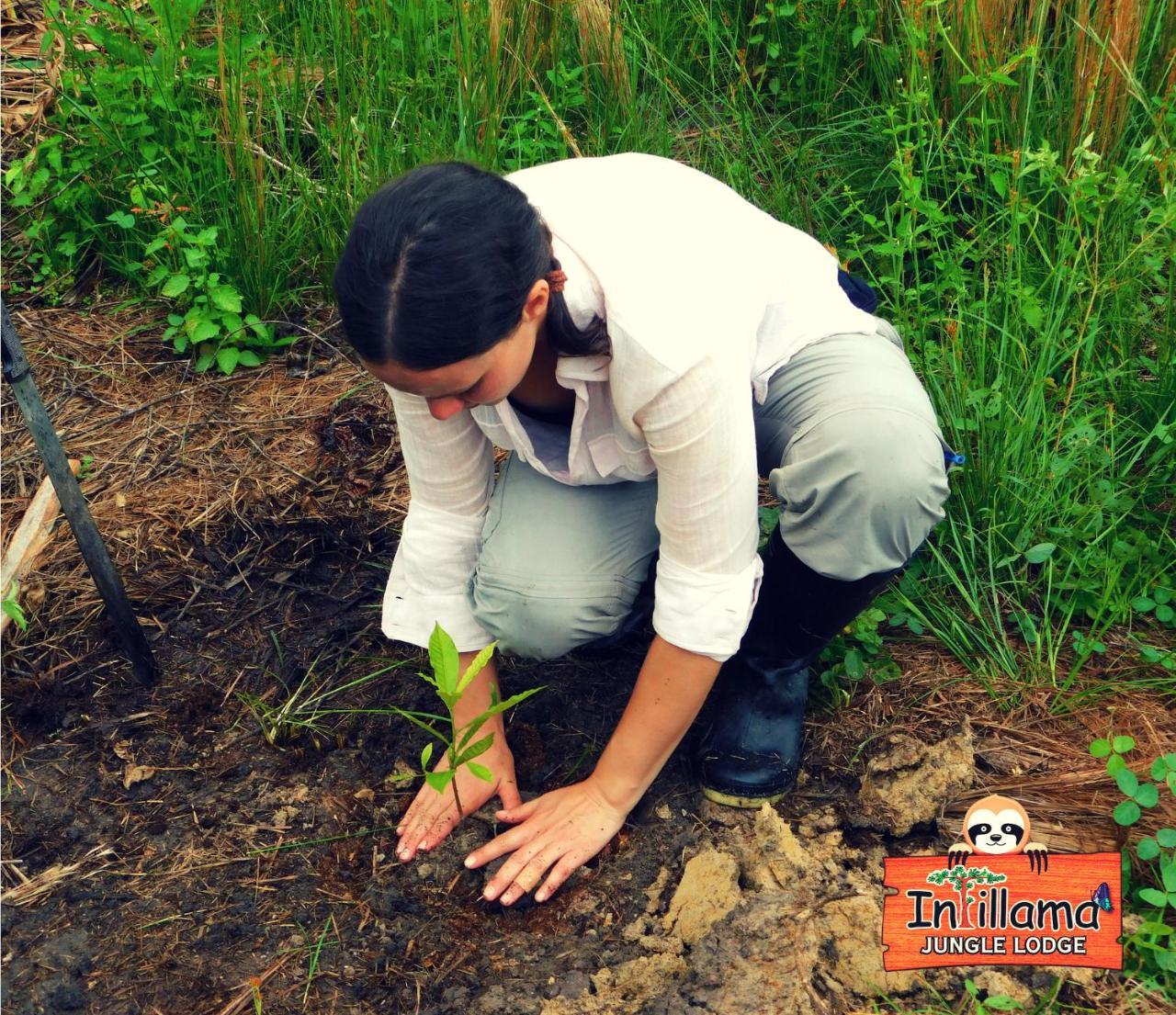 Intillama Jungle Lodge Eirl Paucarpata  Dış mekan fotoğraf
