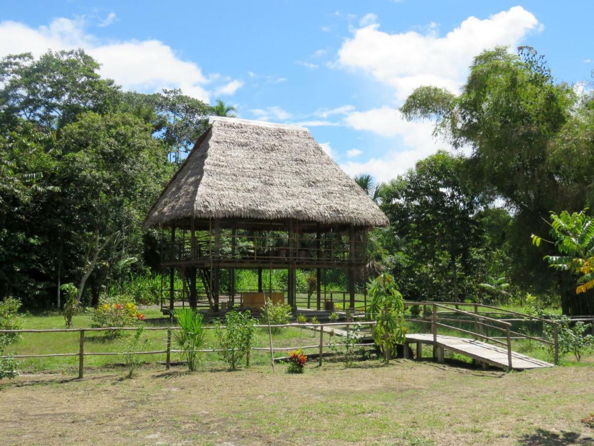 Intillama Jungle Lodge Eirl Paucarpata  Dış mekan fotoğraf