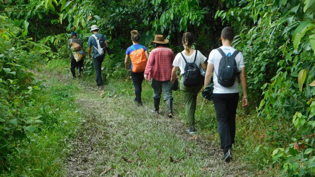 Intillama Jungle Lodge Eirl Paucarpata  Dış mekan fotoğraf